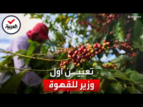 تعيين أول وزير للقهوة في العالم ما مهامه