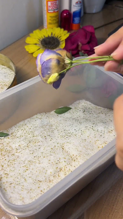 Preserving Flowers in Silica gel 