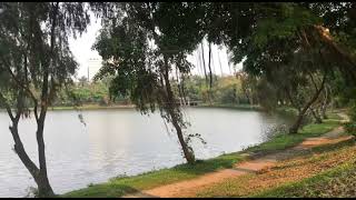 rippled lake part 3