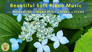 ?Beautiful Soft Piano Music For: Relaxation/Meditation/Sleep/Study        NatureAndMusic