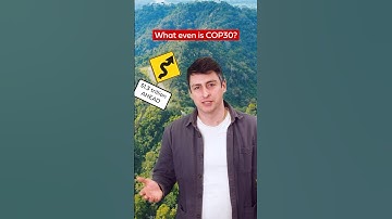 What is COP30?