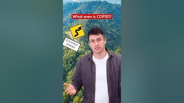 What is COP30?