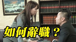 想辭職又不知道怎麼跟老闆說？這幾個辭職理由超好用【Whole空翻】