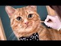 Painting a realistic cat asmr  pet portrait by patricia otero