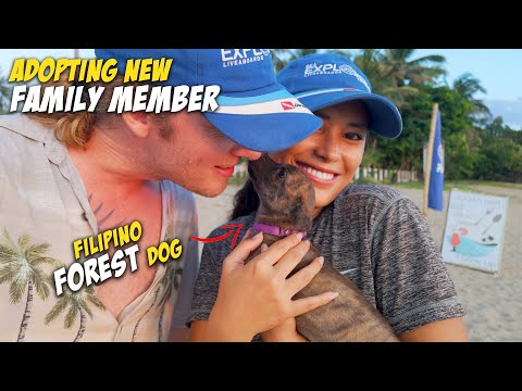 Booking 35 People, New Resort Blessing, Adopting Filipino Dog - Life in the Philippines