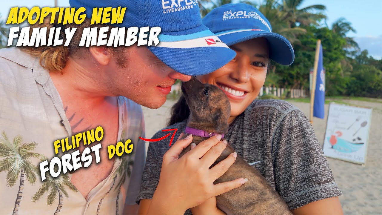 Booking 35 People, New Resort Blessing, Adopting Filipino Dog - Life in the Philippines