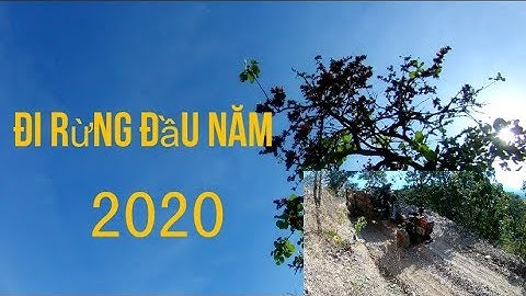 xe công nông chở củi xuống dốc