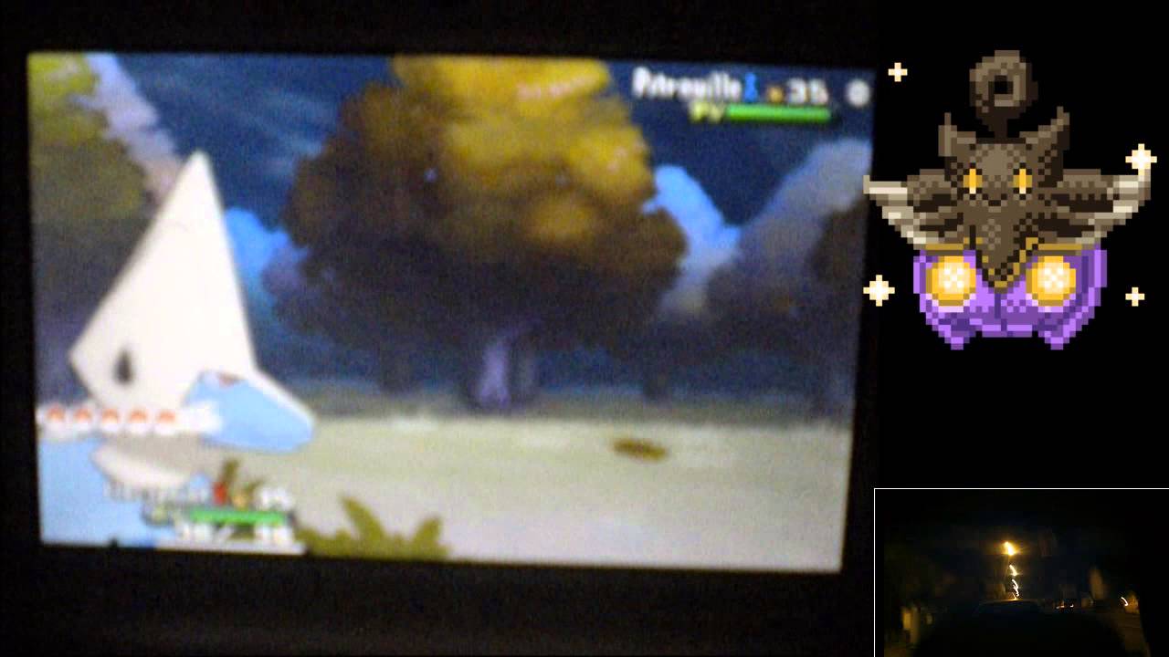 BlueShad trouve un Pitrouille chromatique dans la maison de Vadorskull...