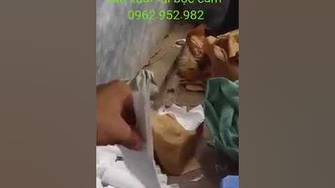 0962.952.982 – Xưởng sản xuất, Bán túi bọc, bao trái bưởi, xoài, cam giá rẻ tại  An Giang