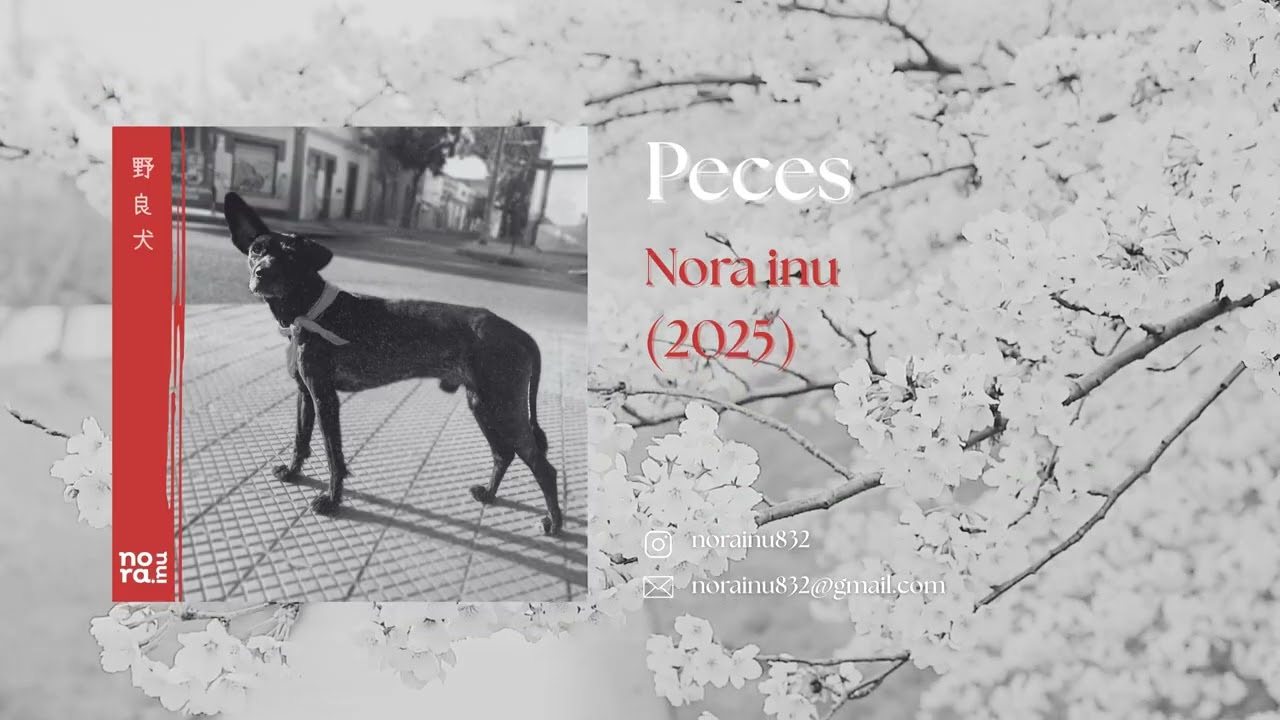 Nora inu - Peces (2025)