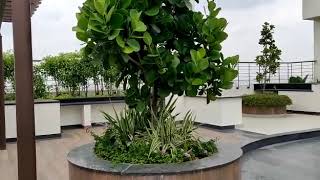 Artisane Forest Breeze VIDEO BARBEQUE & LOUNGE AREA