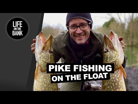 Video: How To Catch Pike On A Float