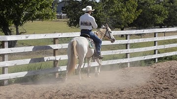 5. Bends and Counter Bends Exercises - The Check Mark - Jack Lieser