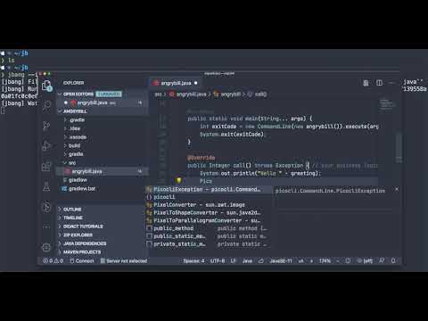 Demo of jbang to Angry Bill