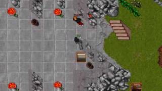 Tibia Noobs On Shrooms