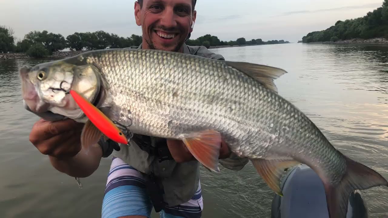 EPIC la AVAT pe DUNARE