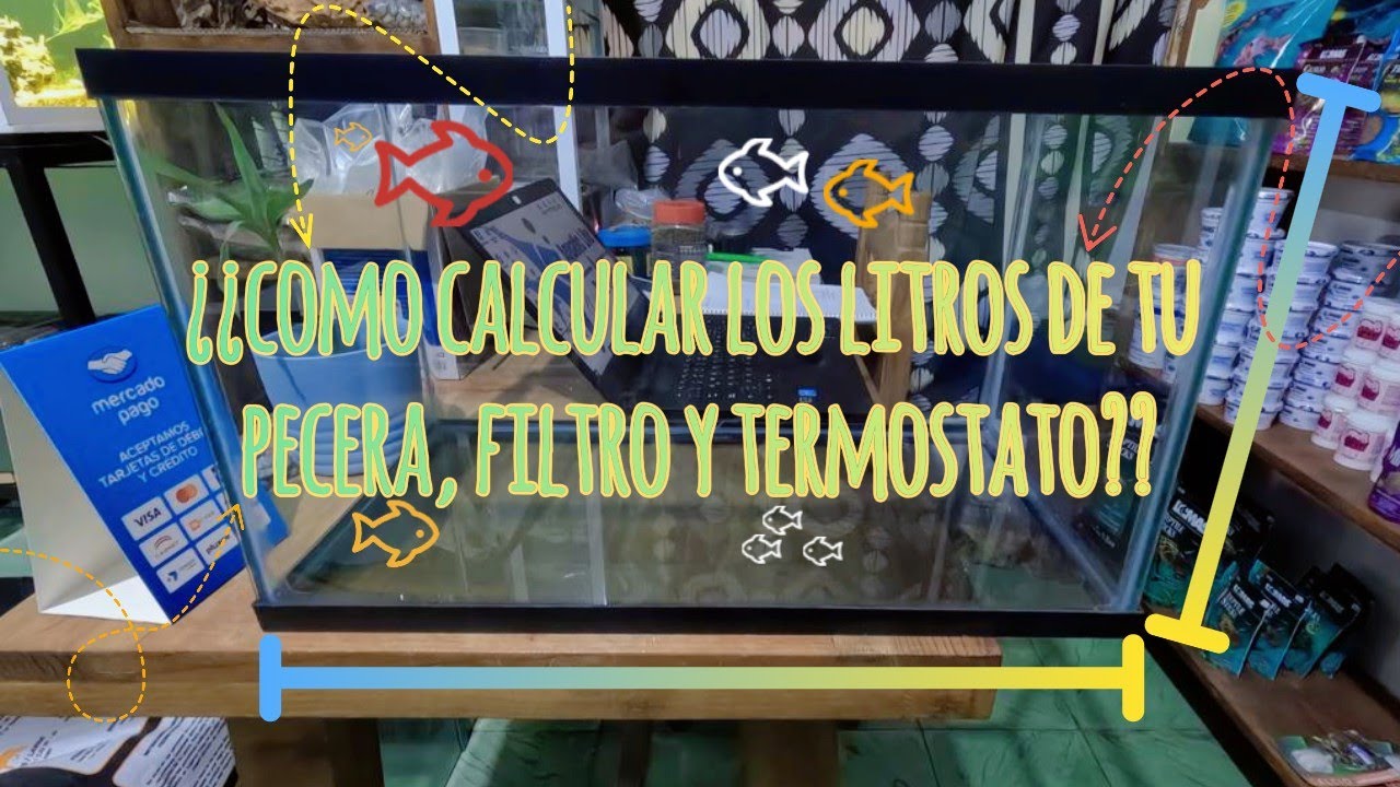 ¿COMO CALCULAR LOS LITROS DE NUESTRA PECERA, FILTRO Y TERMOSTATO? - YouTube