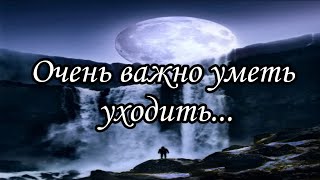 Очень Важно уметь уходить... Читает: Советов. К #стихи #поэзия #рекомендации