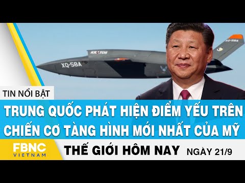 Video: Tích Tụ Chất Lỏng Trong Bụng Của Chồn