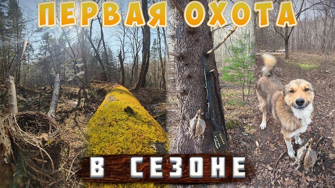 Грант на пасеку