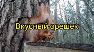 Вкусный орешек