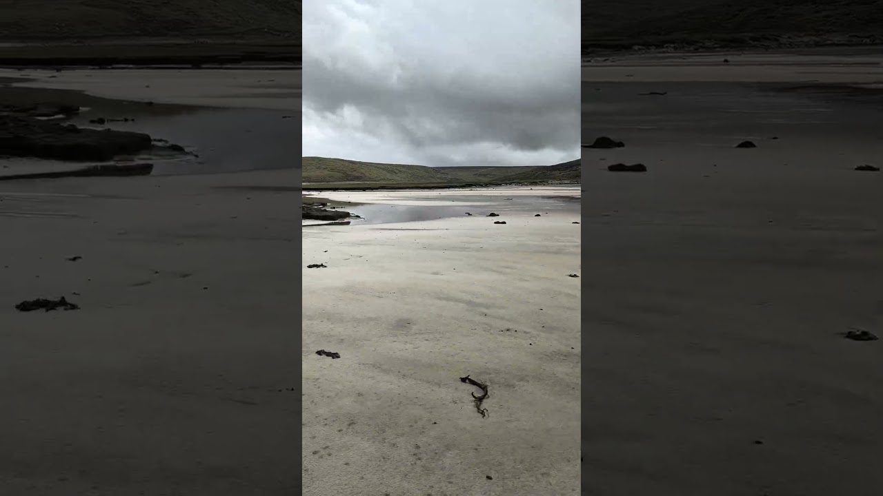 Getting there is part of the adventure, Seal Bay, Falkland Islands, Jan 21, 2026