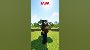 Minecraft Java vs Bugrock 💀📈