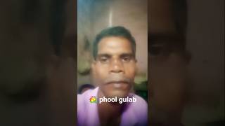 ek phool gulab ka chehra #song #movie #hindisong #dance #bhojpuri