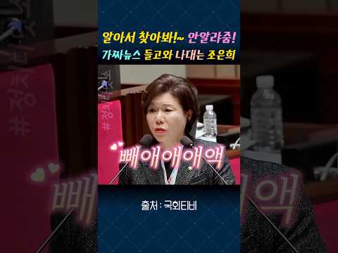 국회에 비공식문서 가짜 뉴스 들고와 큰소리치다 들키자 헛소리 하는 조은희#조은희#국민의힘