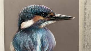 Stages Of A Kingfisher In Pastel Pencils And Soft Pastel(Stage 3) Patreon Link In Description screenshot 1