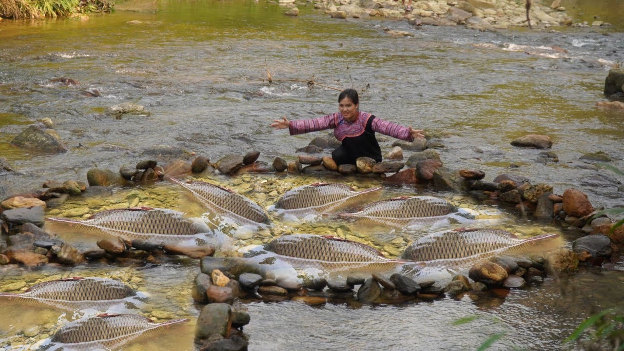 Highland girl makes primitive fish traps - catching large fish and selling them at the market.