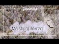 Malsburg Marzell Schwarzwald 