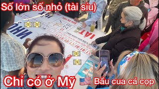 The Vietnamese traditional games | vào sòng chơi lắc bầu cua cá cọp mừng Tết quý Mão 2023 screenshot 5
