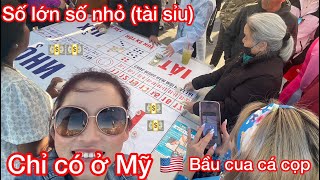 The Vietnamese traditional games | go to the casino to play Bau Cua Ca Tiger to celebrate Tet Quy... screenshot 4
