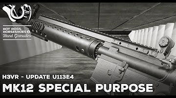 H3VR Early Access Update 113e4 - Mk 12 Special Purpose Rifles