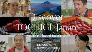 【full】Strawberries(CS) 'Discover TOCHIGI,Japan - Our taste is chosen for a reason'