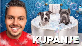 KUPAMO ZUESA I MAKSA 