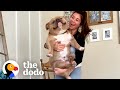 Woman Gets &#39;Perfect Dog&#39; From Breeder Then Realizes Something&#39;s Wrong | The Dodo