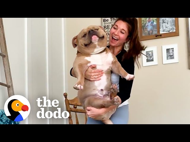 Woman Gets 'Perfect Dog' From Breeder Then Realizes Something's Wrong | The Dodo class=