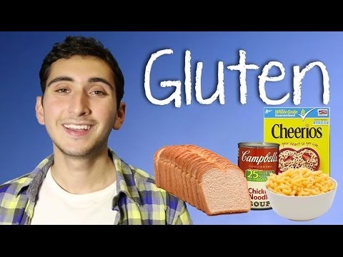 what-is-gluten?-|-mashable-explains