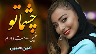 Amin Habibi - Cheshmato Kheili Doost Daram Music Video | امین حبیبی - چشماتو خیلی دوست دارم