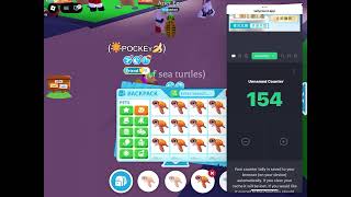 Record in adopt me? #adoptme #seaturtles #collection #roblox