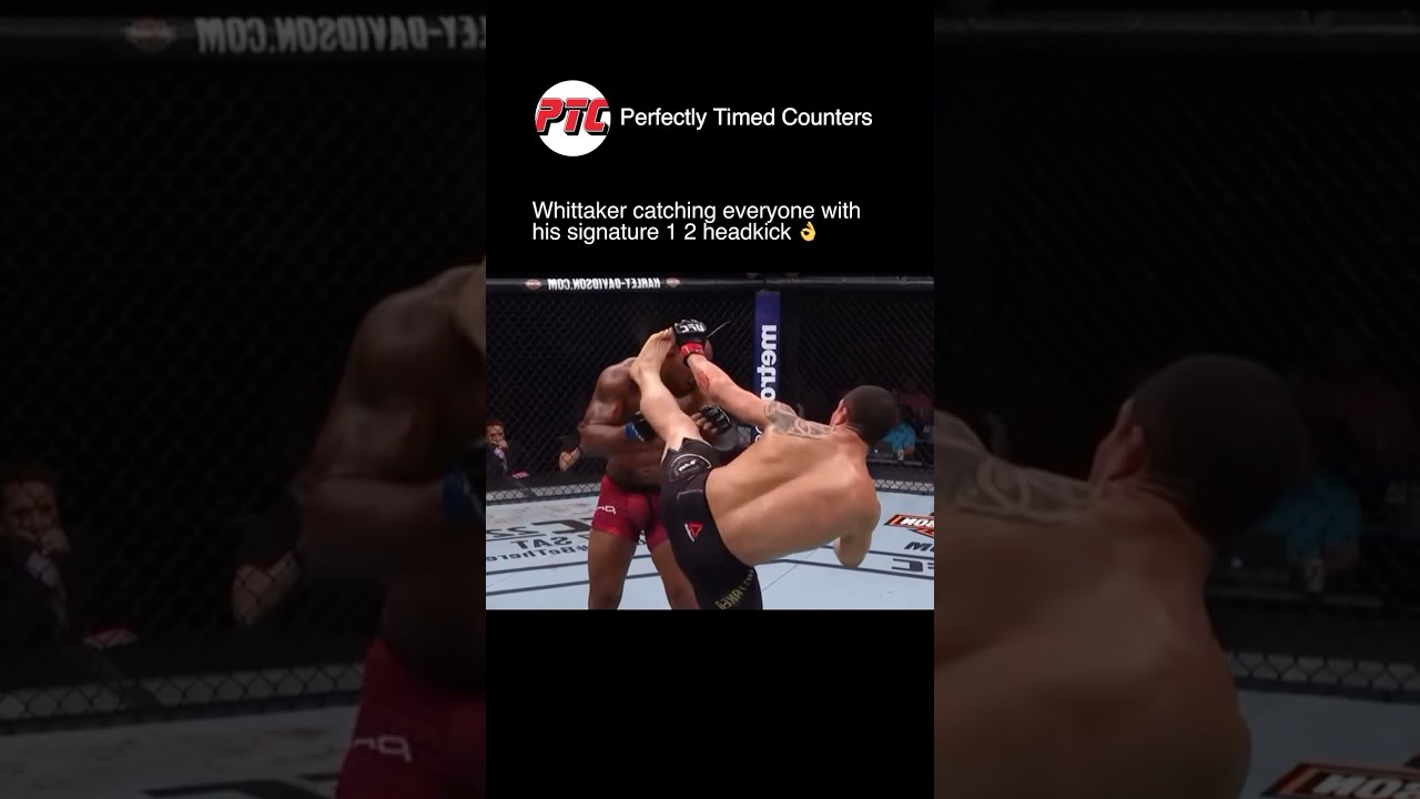 Robert Whittaker’s elite striking