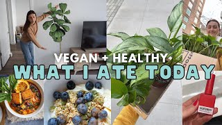 WHAT I ATE TODAY  Vegan + Healthy