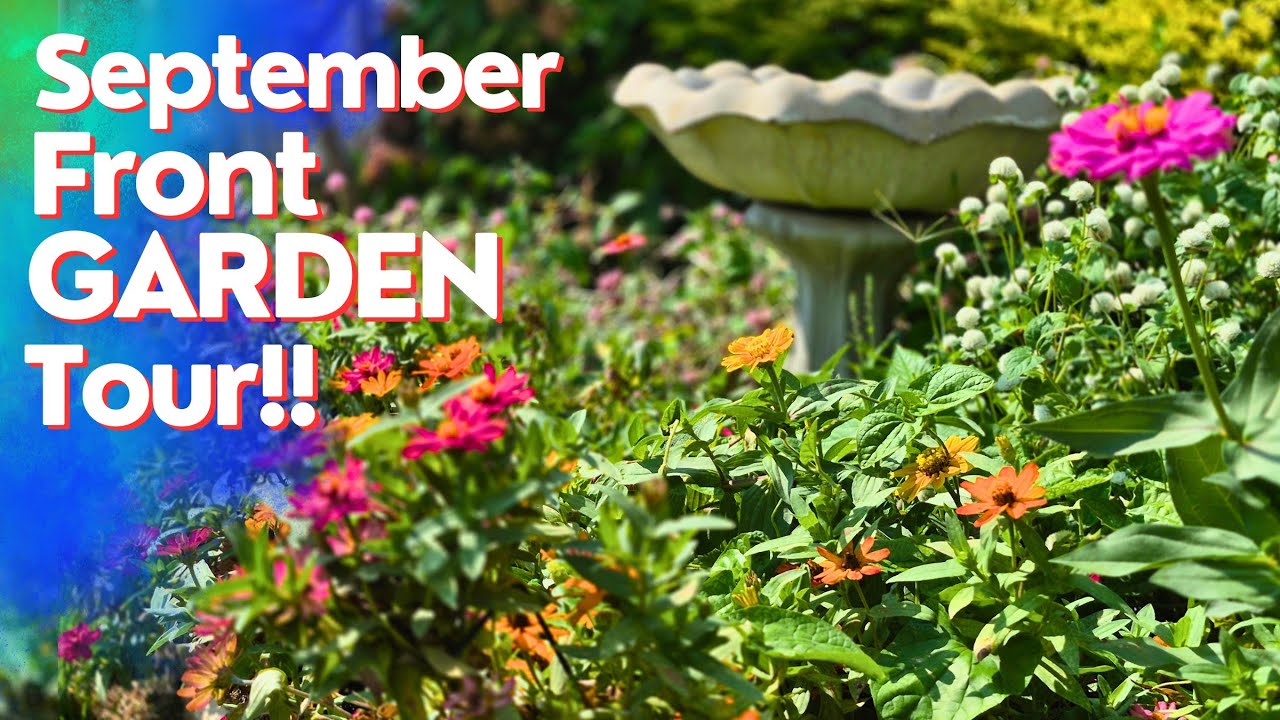 ELLEGARDEN/Bad For Education TOUR LAST … ELLEGARDEN/Bad For Education TOUR LAST … New 2024 Bad Boy Mowers