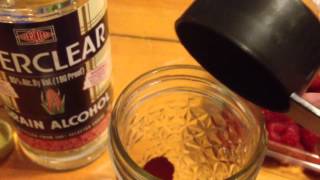Taking Back Drink - Fresh Berry Everclear