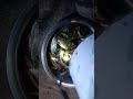 netque91,,,   cá đây mọi người ơi,,,  shortvideo