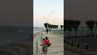 Gelibolu Sahil Yolu.