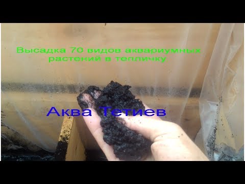 Как удалить и что это 99 Как удалить и что это 18