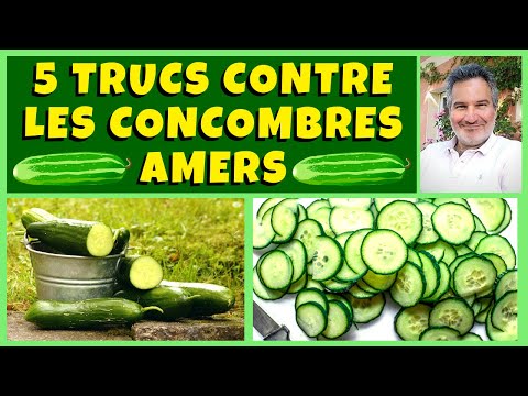 Vidéo: Maïs Mariné Comme Des Concombres: Récolte Originale Au Goût Excellent
